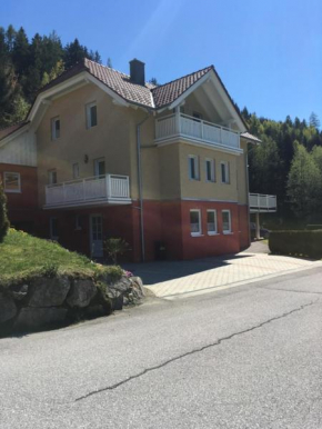 Appartement Zangl, Haus, Österreich, Haus, Österreich